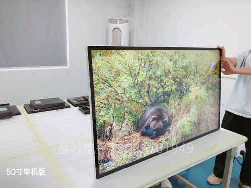 淺析50寸單機版壁掛式廣告機 功能、應(yīng)用與市場認(rèn)知